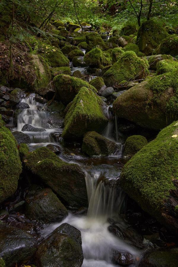 Oakfield Guest House Betws-y-Coed Exteriér fotografie
